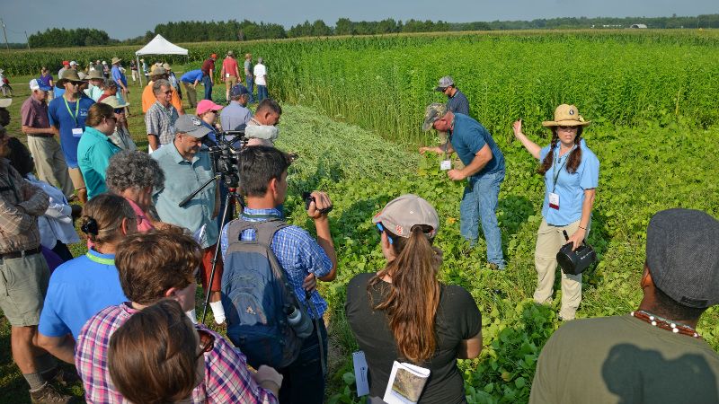 A Stout Seed field day: a group touring a crop plot
